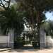 Foto 11. Sulla destra invece domina la signorile villa Lorusso, circondata da alberi ad alto fusto e palme 